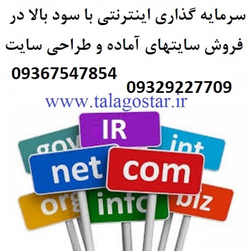 سرمایه گذاری با سود بالا در شغل پرسود اینترنتی