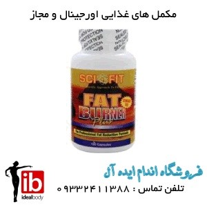 چربی سوز و لاغری گیاهی فت برنر FAT BURNER - تصویر 1
