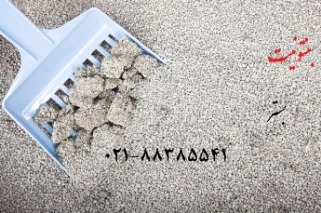 خاک بستر - تصویر 1