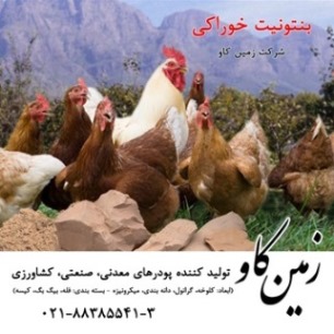 بنتونيت خوراکي - تصویر 1