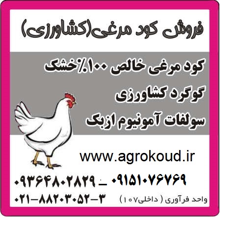 عرضه مستقیم کود مرغی - تصویر 1