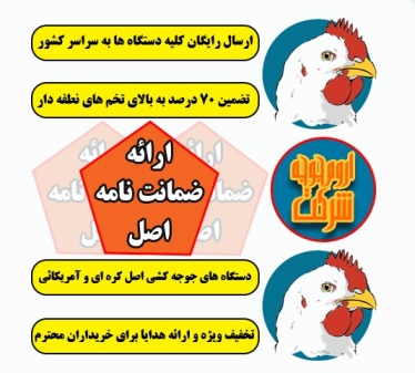 تخم نطفه دار و دستگاه جوجه کشي و دستگاه پرکن مرغ - تصویر 1