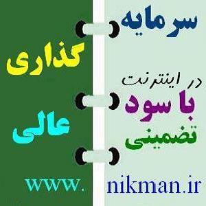 سرمایه گذاری با سود بالا در اینترنت - تصویر 1