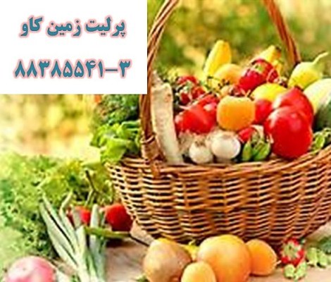 پرليت و کشاورزي Perlite - تصویر 1