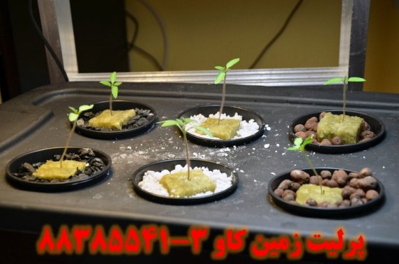 پرليت و رشد و تکثير گياهان Perlite - تصویر 1