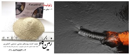 زئوليت در صنعت نفت - تصویر 1