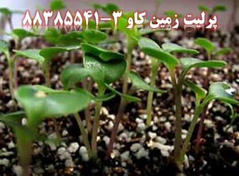 تبليغ مصرف پرليت در کشاورزي - تصویر 1