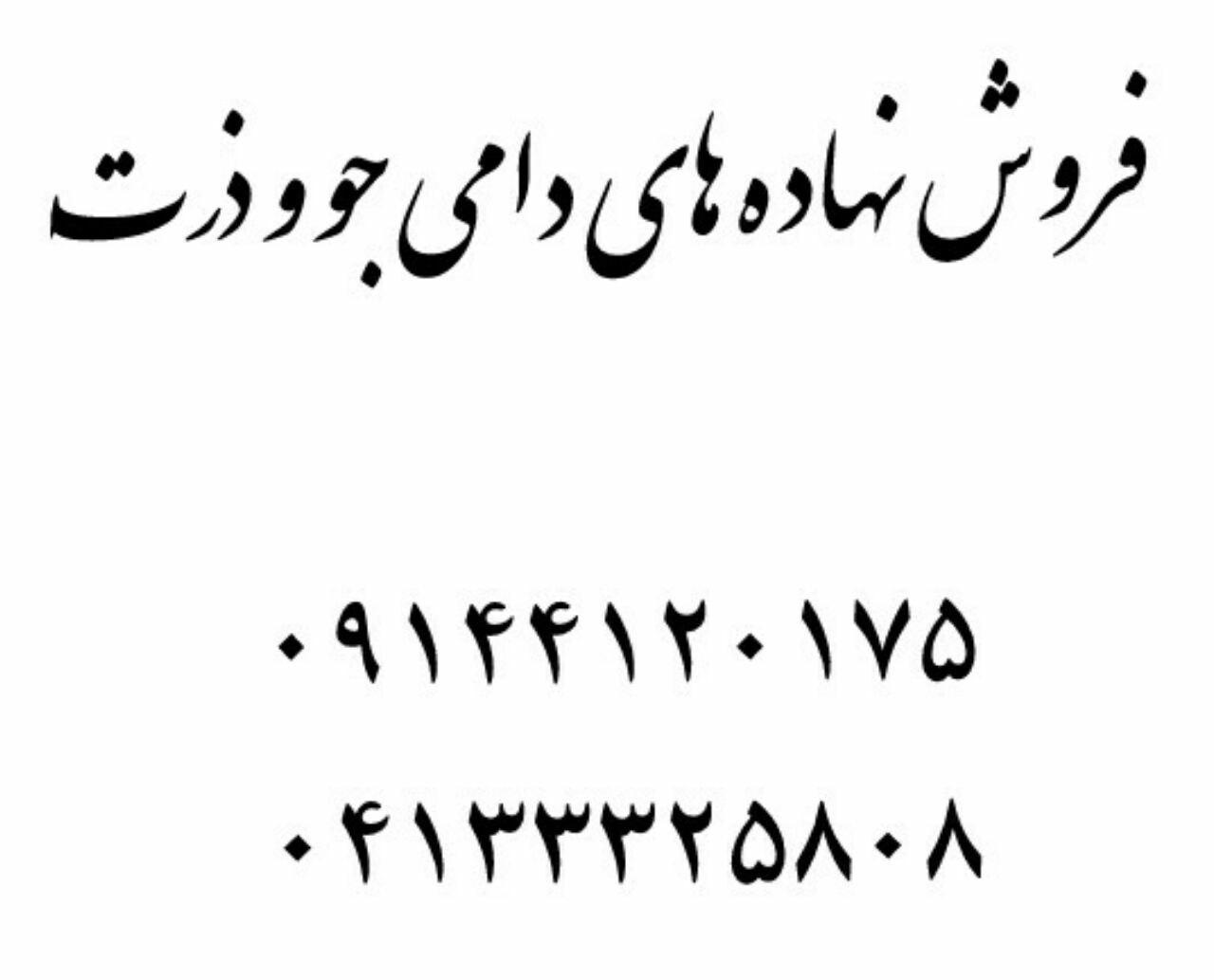 فروش نهاده های دامی