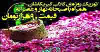 تور گلابگيري کاشان - تور ماسال - تور گيلان - تصویر 1
