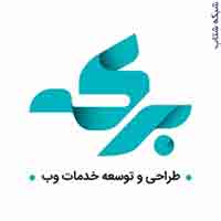برکه خاص ترين شرکت طراحي سايت، اپليکيشن سئو نرم افزار تحت وب - تصویر 1