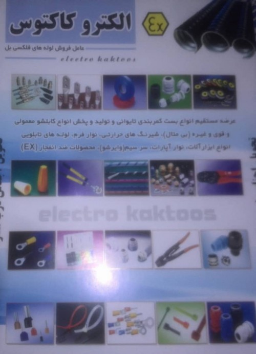 بندانگشتی 2