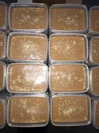 حلوا ارده پشمکی بهجتی09361984747 - تصویر 3