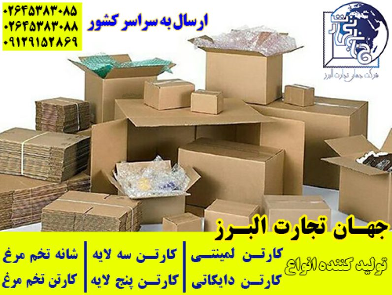 تولید و صادرات انواع کارتن - تصویر 2