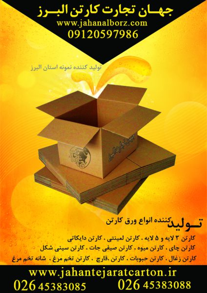تولید و صادرات انواع کارتن - تصویر 4