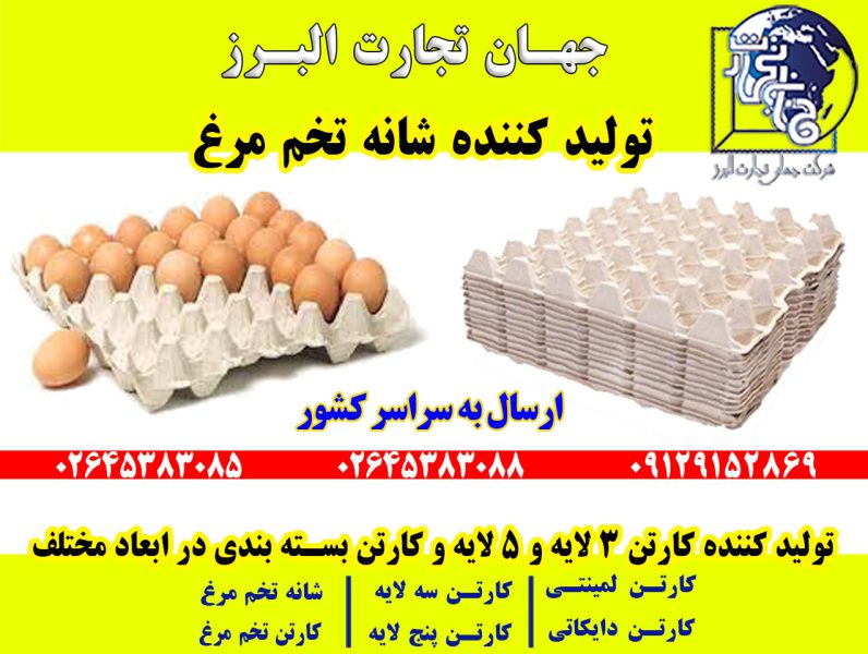 تولید و صادرات انواع کارتن - تصویر 5