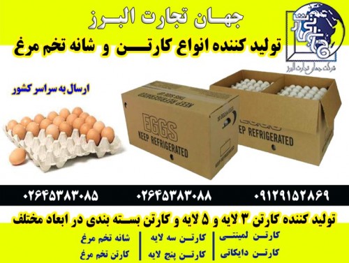 بندانگشتی 1
