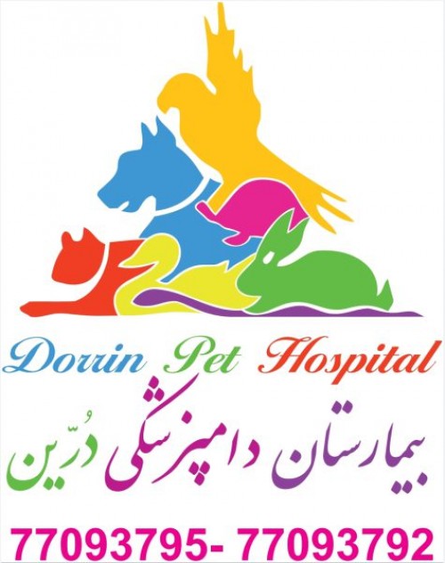 بندانگشتی 1