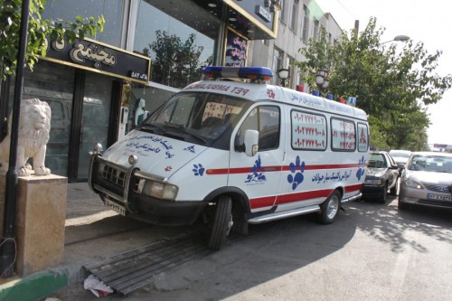 بندانگشتی 4