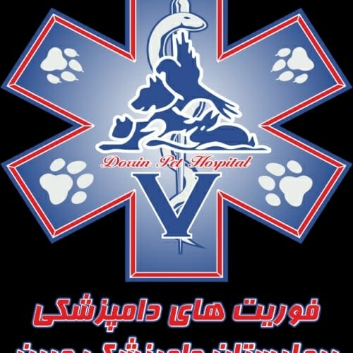 بندانگشتی 1
