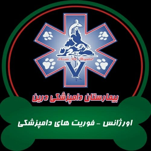 بندانگشتی 2