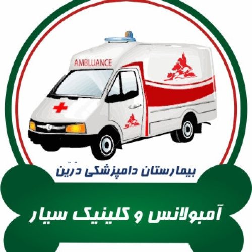 بندانگشتی 5