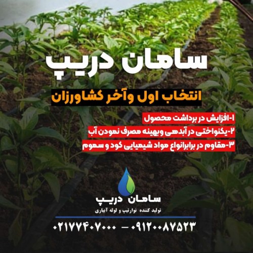 بندانگشتی 2