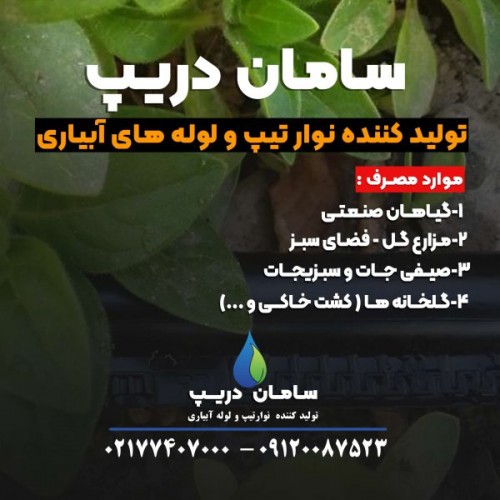 بندانگشتی 4