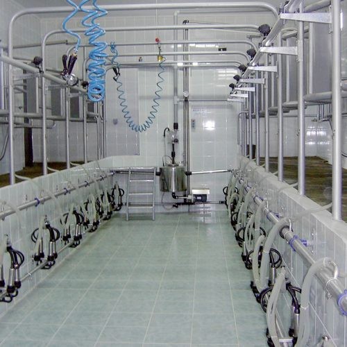 بندانگشتی 3