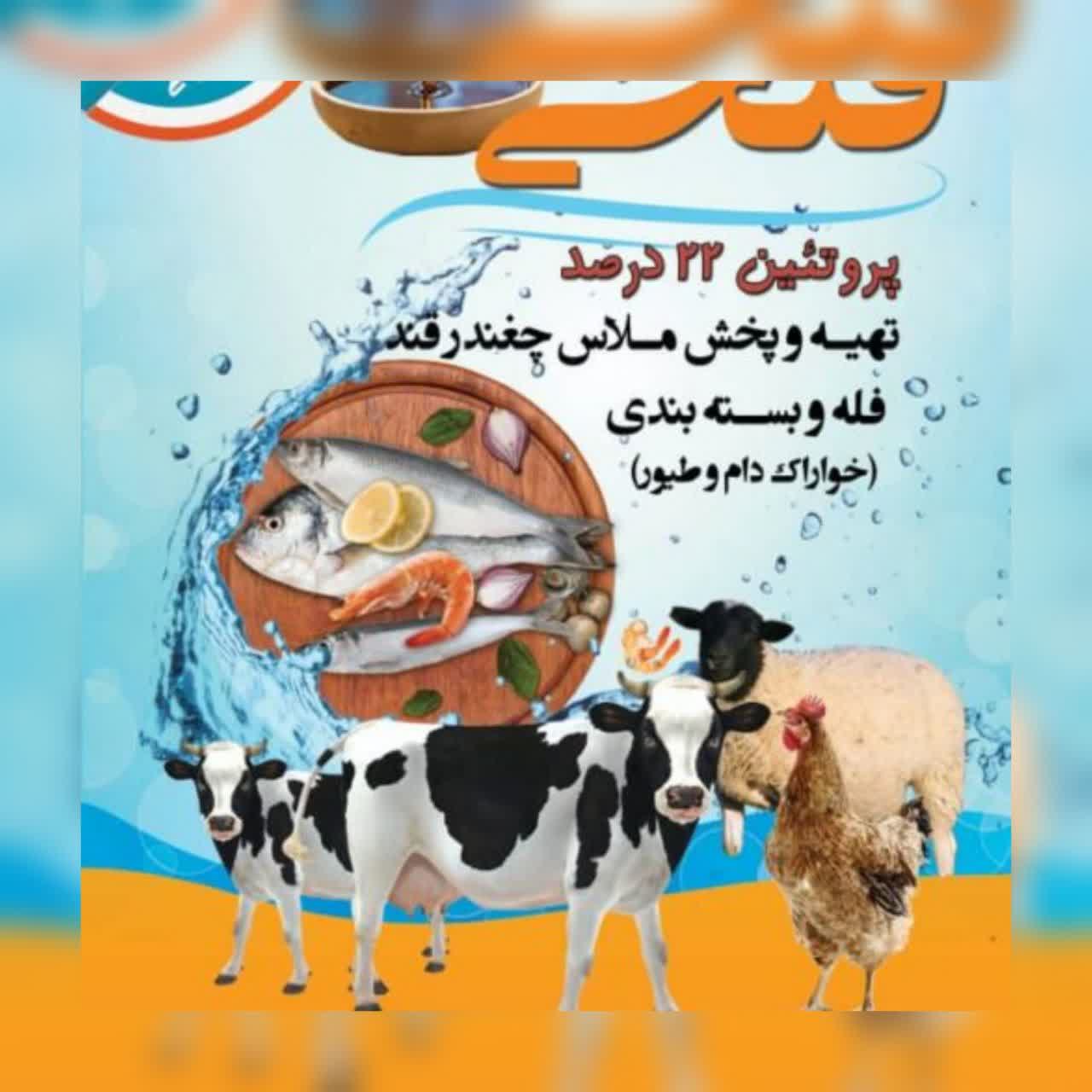 تهیه پخش وفروش ملاس چغندر قند - تصویر 1