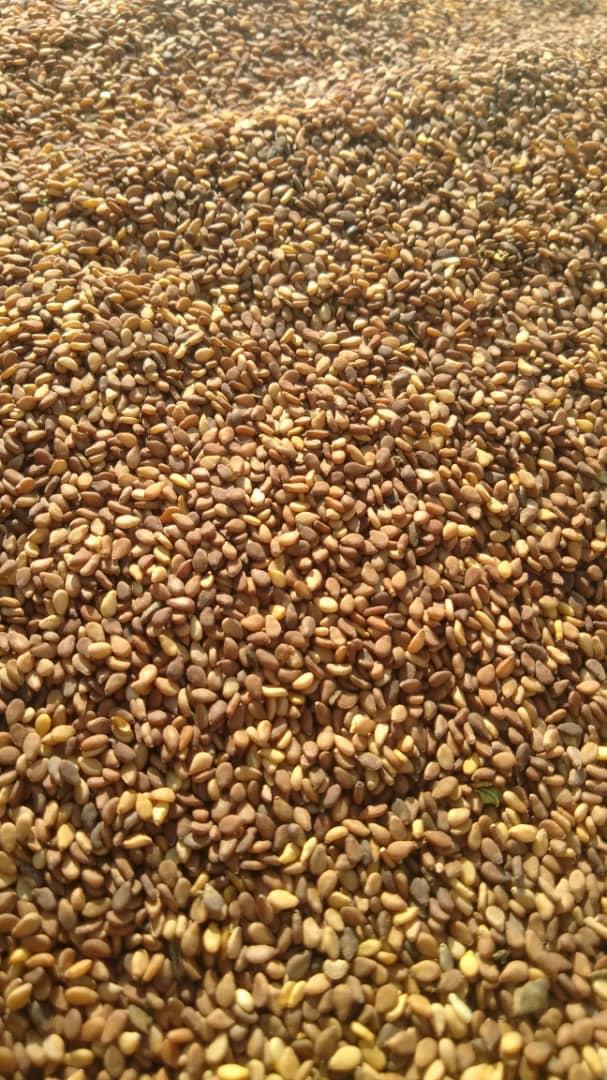 کنجد خام و بوداده تاج پاز - تصویر 1