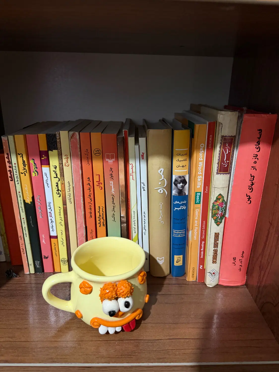 تعدادی کتاب رمان و روانشناسی - تصویر 4