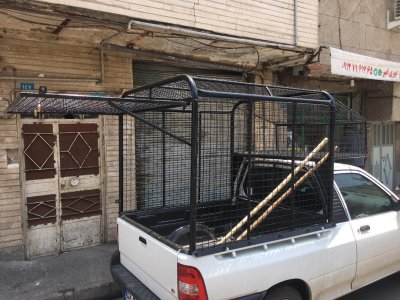بندانگشتی 8