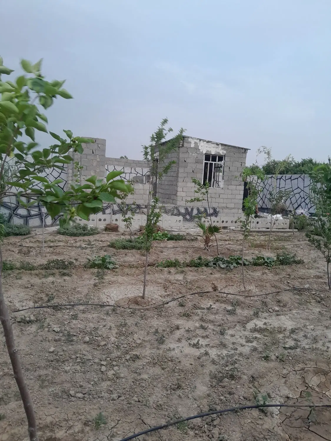 بندانگشتی 2