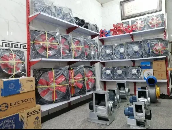 بندانگشتی 7