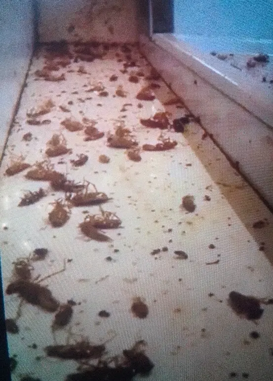 بندانگشتی 2