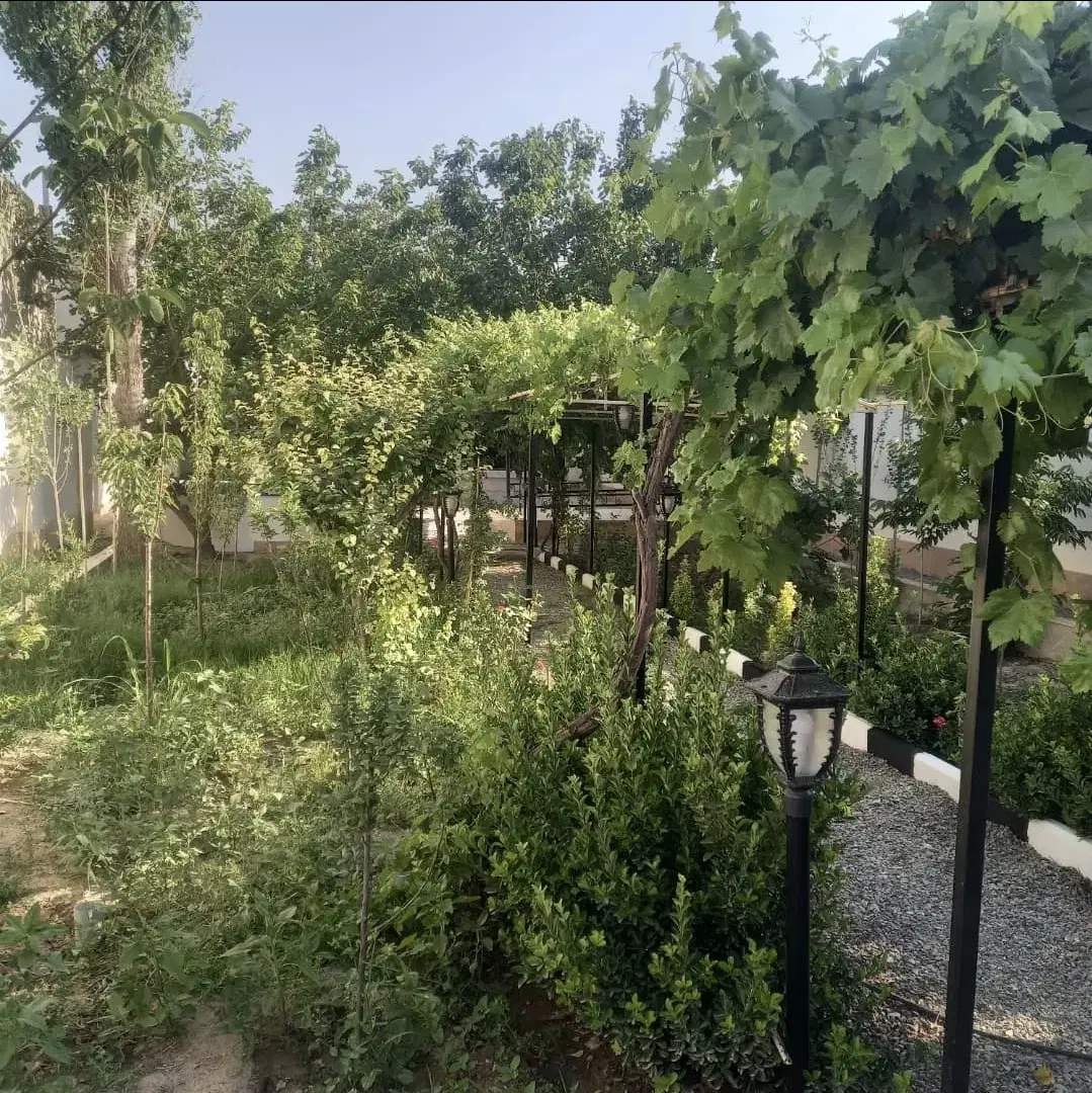 بندانگشتی 5