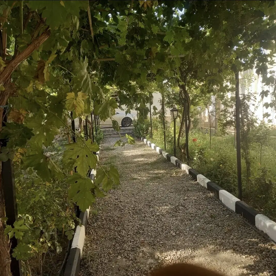 بندانگشتی 7