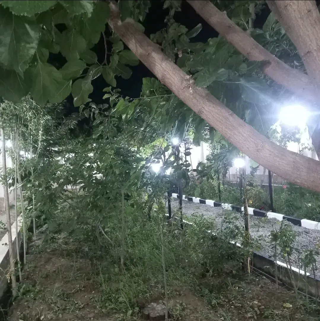 بندانگشتی 8