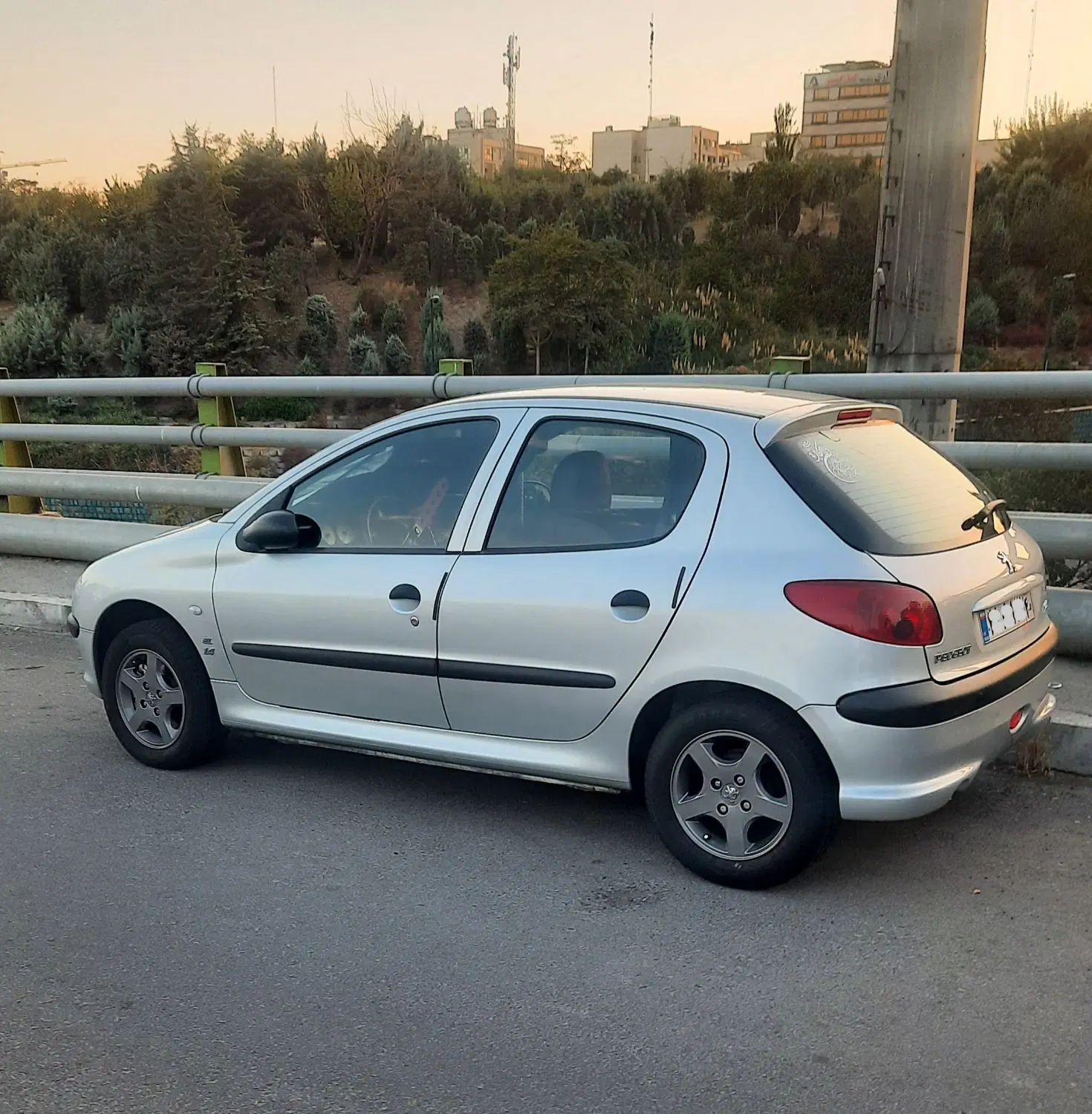 پژو ۲۰۶ - سفارش مدیران - کم‌کار