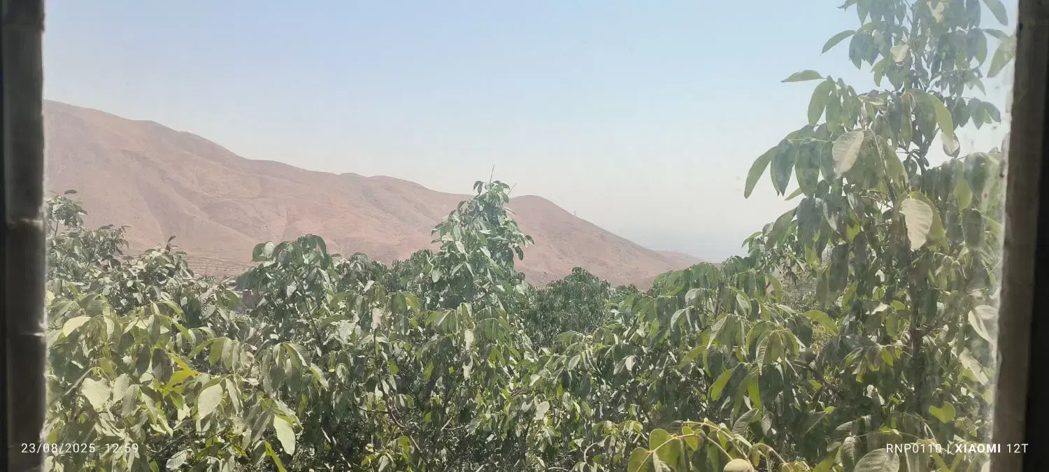 بندانگشتی 2