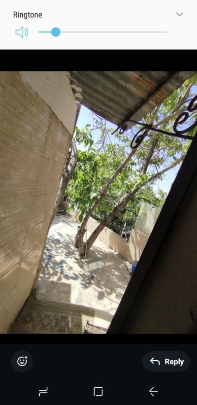 بندانگشتی 2